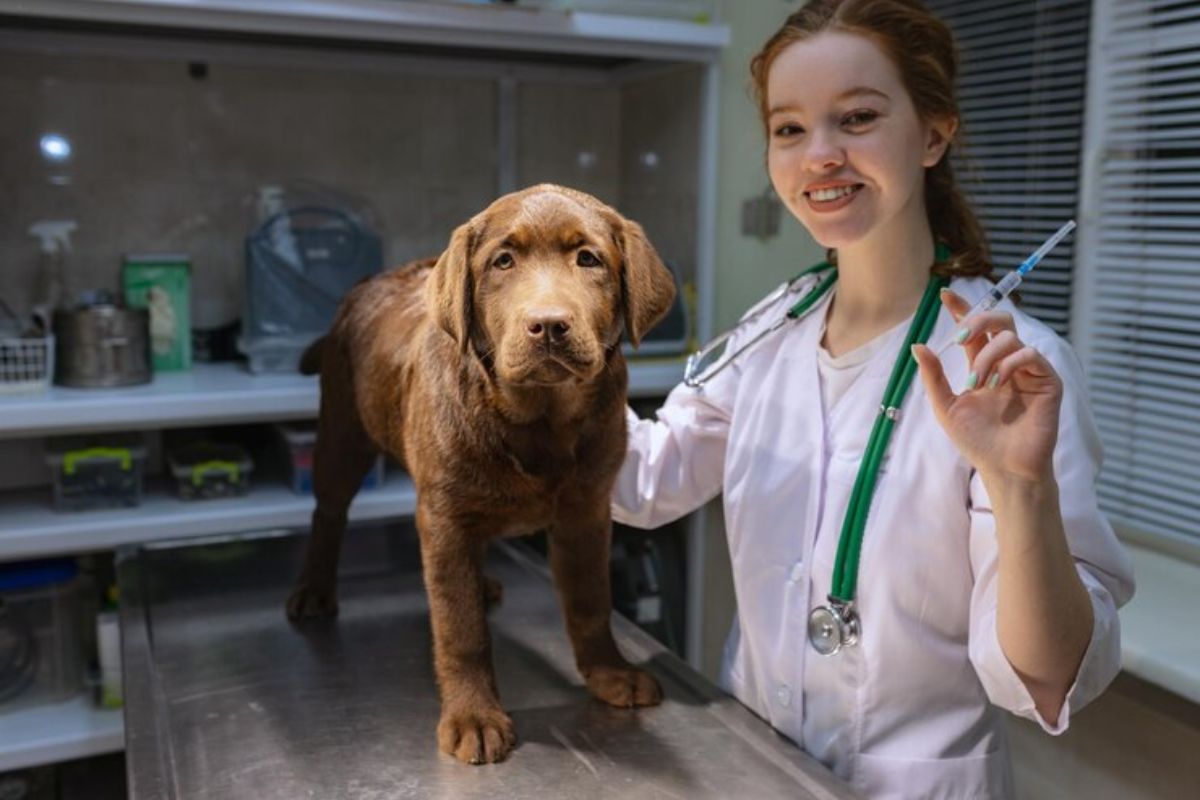 Curso de Veterinária ETEC 2025: Inscrição, Prazos e Vagas